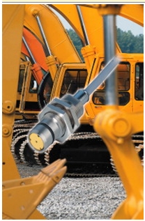 �D����늂�����