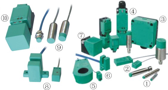 ��ɭ������